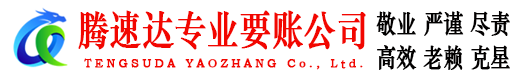 龙泉驿追债公司